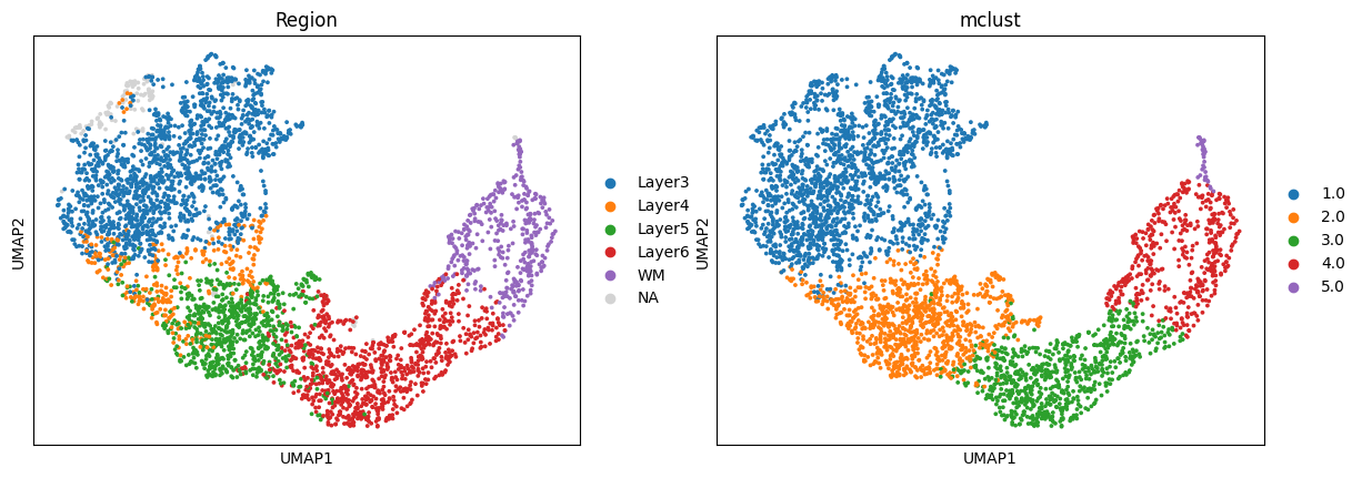 ../../../_images/Tutorials_Fine_Spatial_Interpretation_1._10X_Visium_human_DLPFC_dataset_10X_Visium_DLPFC_11_3.png