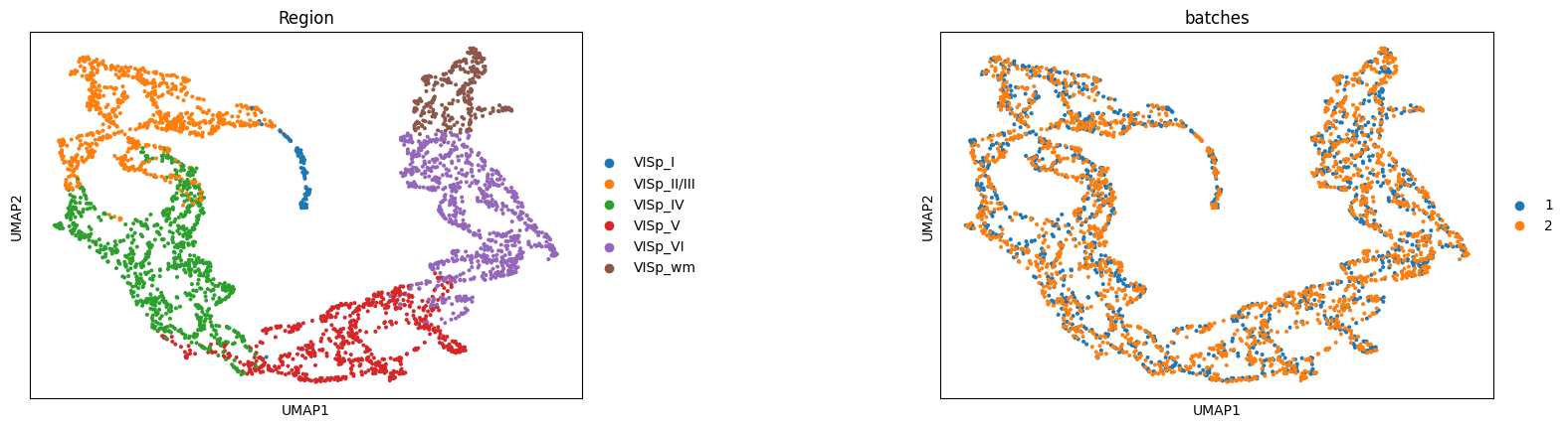 ../../../_images/Tutorials_Integration_and_Alignment_1._Adjacent_slices_BaristaSeq_Alignment_and_Integration_11_1.png