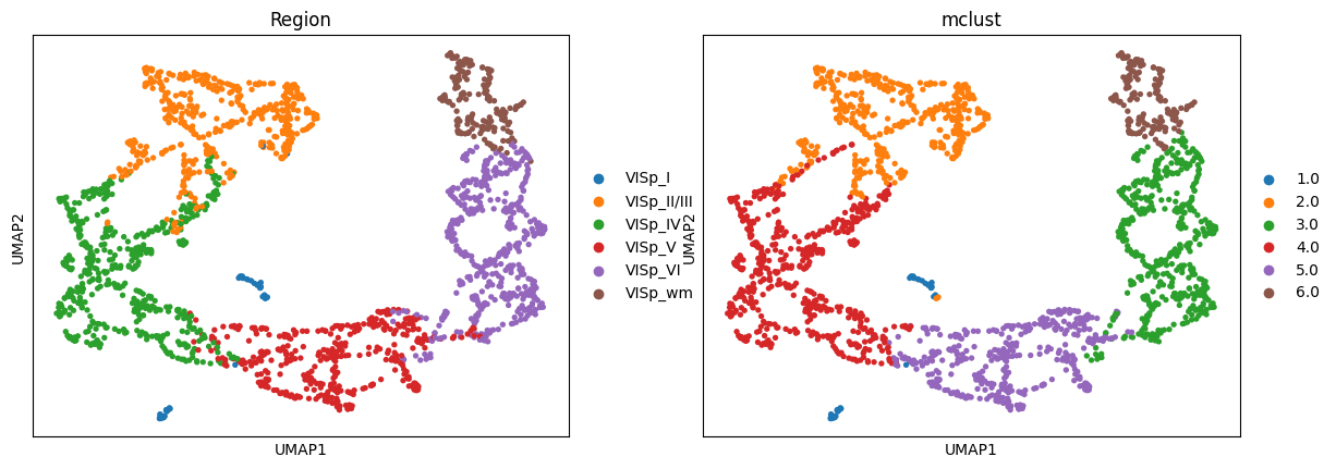 ../../../_images/Tutorials_Integration_and_Alignment_1._Adjacent_slices_BaristaSeq_Alignment_and_Integration_9_7.png