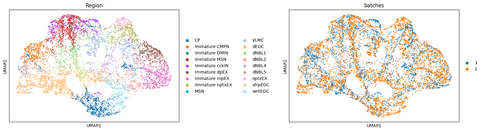 ../../../_images/Tutorials_Integration_and_Alignment_2._Slices_of_different_developmental_stages_Setero-seq_Alignment_and_Integration_11_1.png