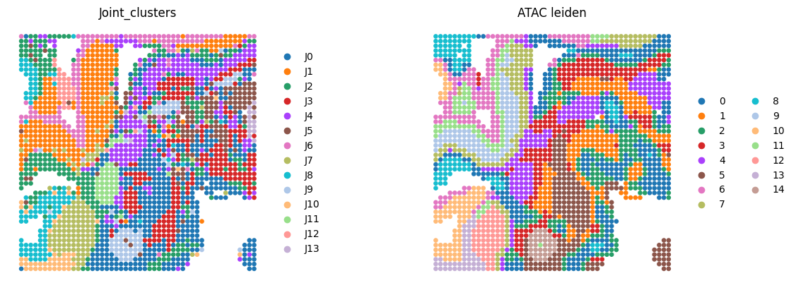 ../../../_images/Tutorials_Integration_and_Alignment_3._Spatial_ATAC%E2%80%93RNA-seq_dataset_Spatial_ATAC-RNA-seq_Integration_9_2.png
